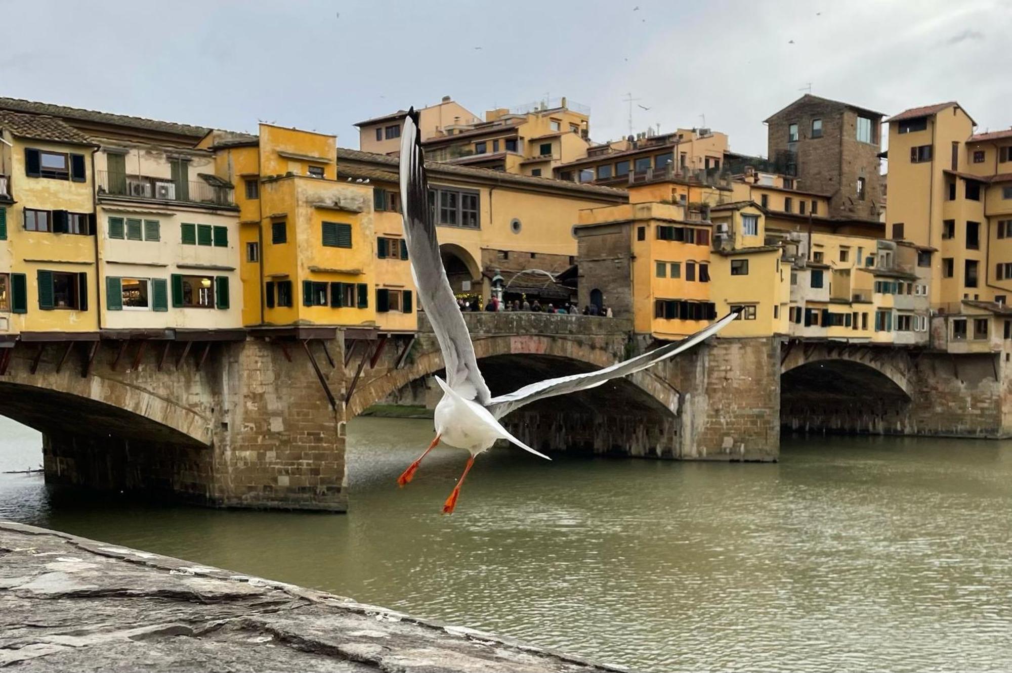 Vintage Apartments In The Heart Of Firenze Bagian luar foto